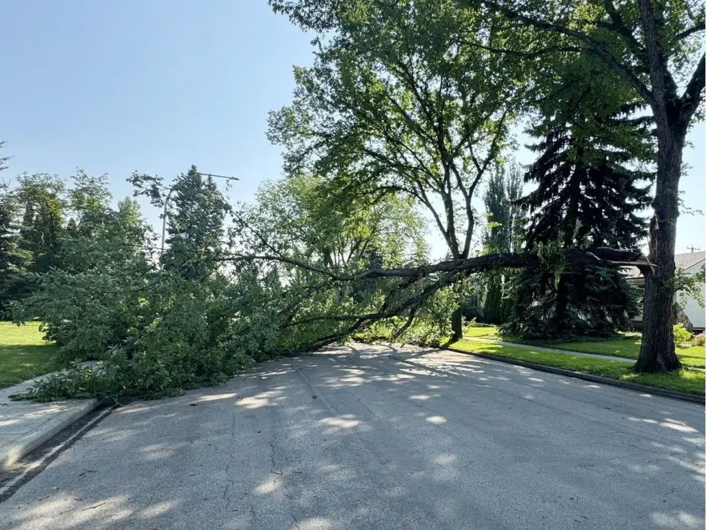City says staff followed safety protocols when severe thunderstorm lashed stadium concert