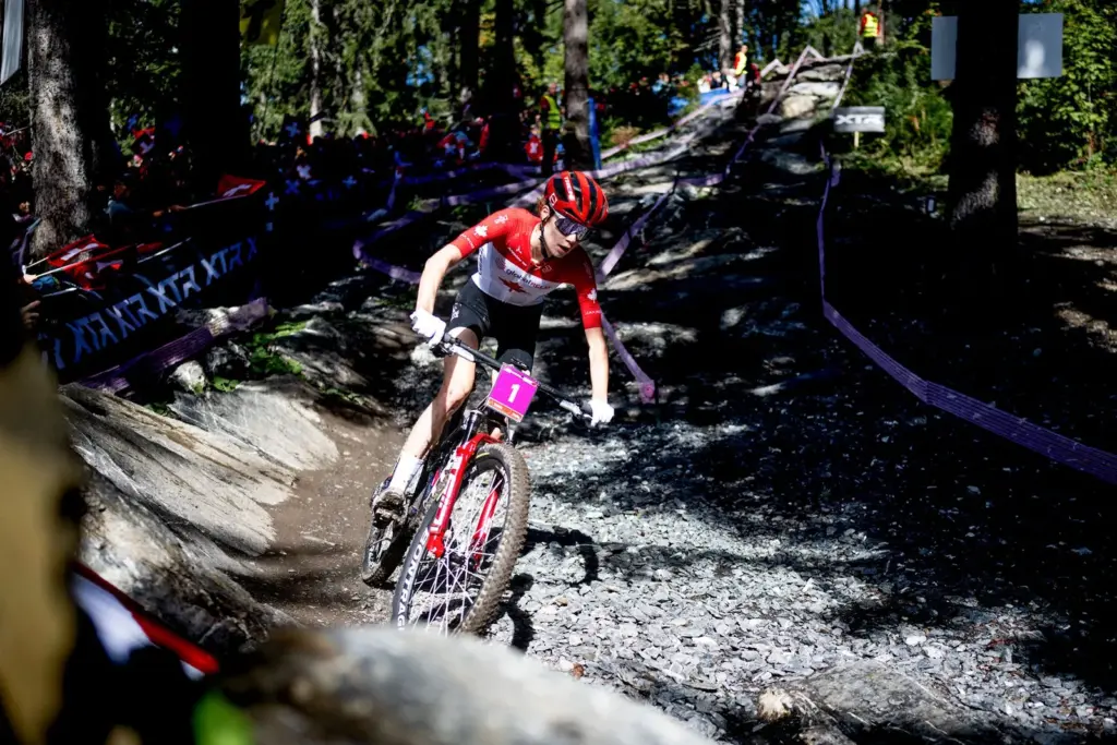 DH Tech Randoms: 2026 Val Di Sole World Championships - Pinkbike