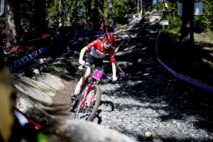 DH Tech Randoms: 2026 Val Di Sole World Championships - Pinkbike